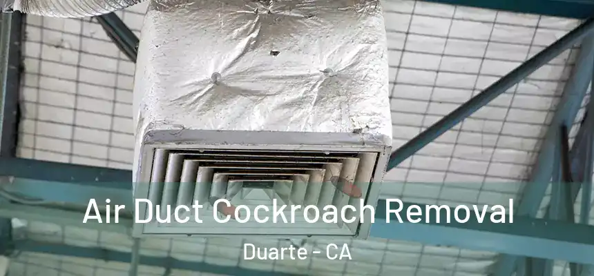 Air Duct Cockroach Removal Duarte - CA
