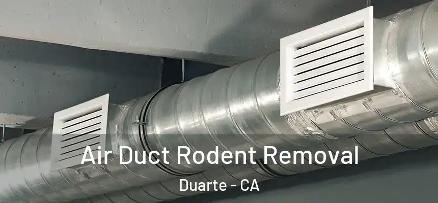  Air Duct Rodent Removal Duarte - CA