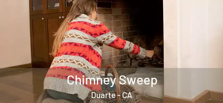 Chimney Sweep Duarte - CA