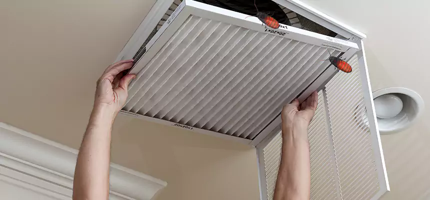 Preventive Cockroach-Proofing for Ducts in Duarte