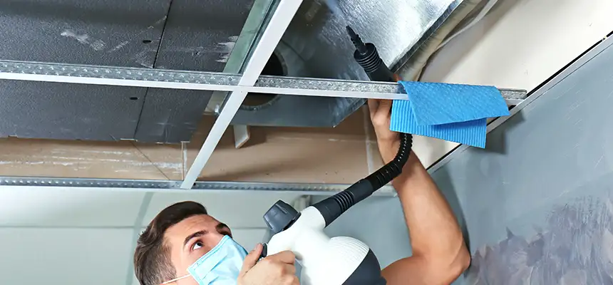 Our Air Duct Rodent Removal Services in Duarte, CA