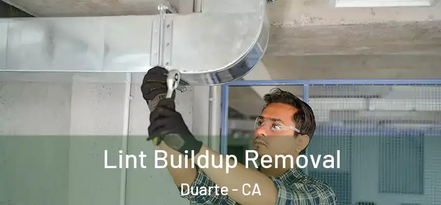  Lint Buildup Removal Duarte - CA