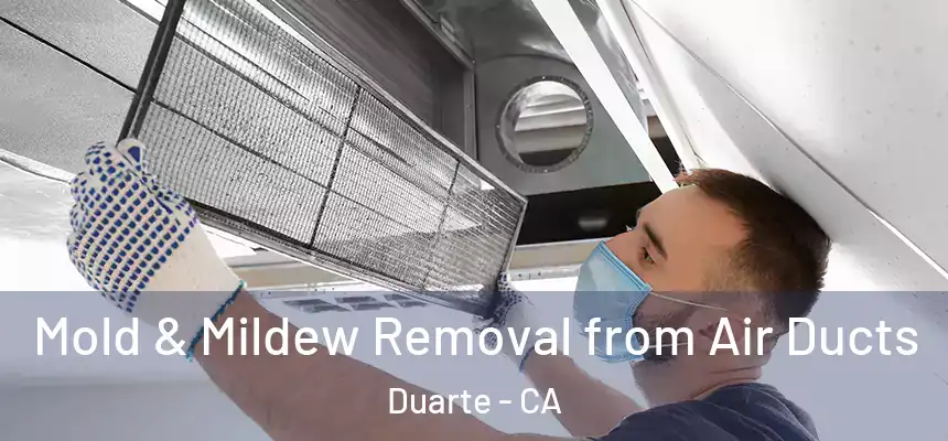  Mold & Mildew Removal from Air Ducts Duarte - CA