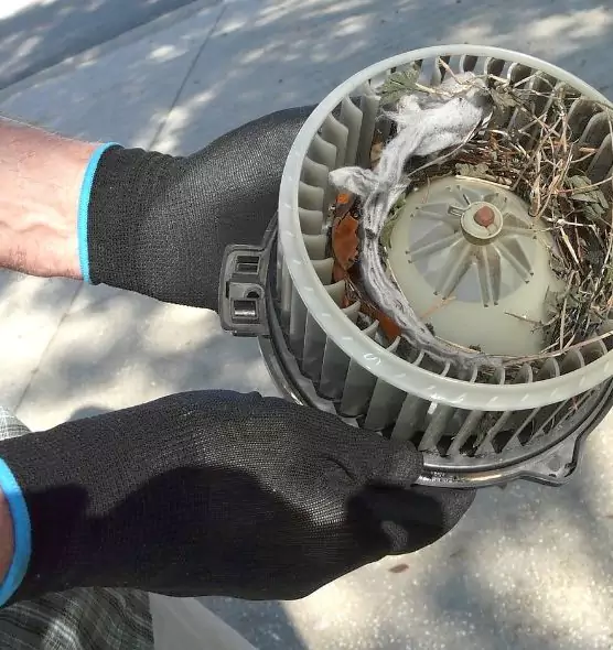 About Air Duct Rat Removal in Duarte, CA