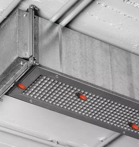Affordable Insect Removal from Air Ducts in Duarte, CA