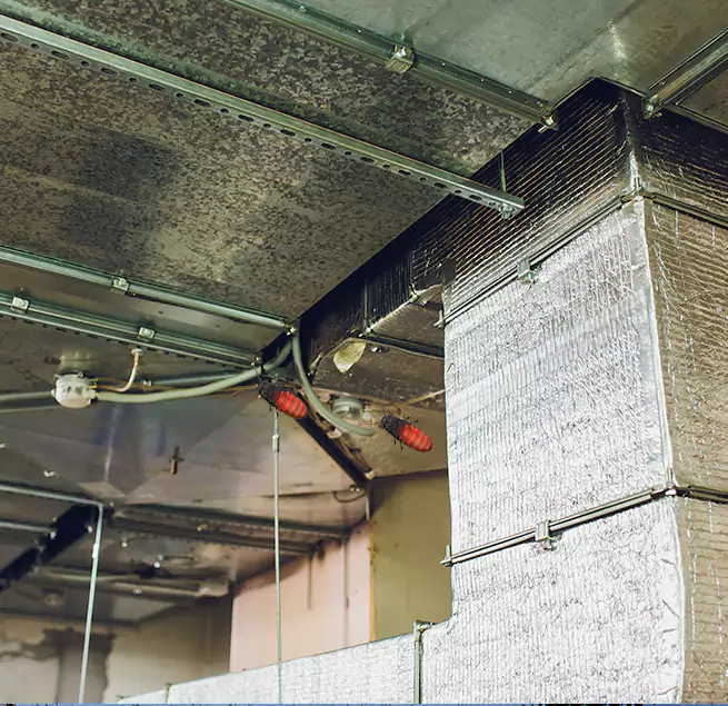 Why Homeowners & Businesses Trust Us in Duarte, CA?