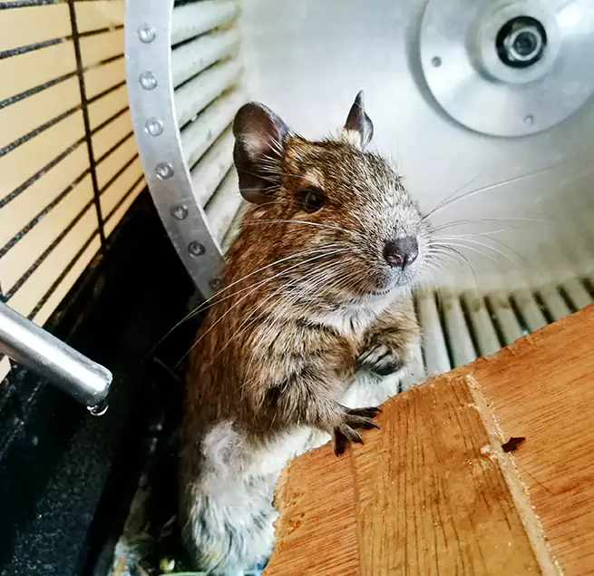 Why Homeowners & Businesses Trust Us Duarte, CA?